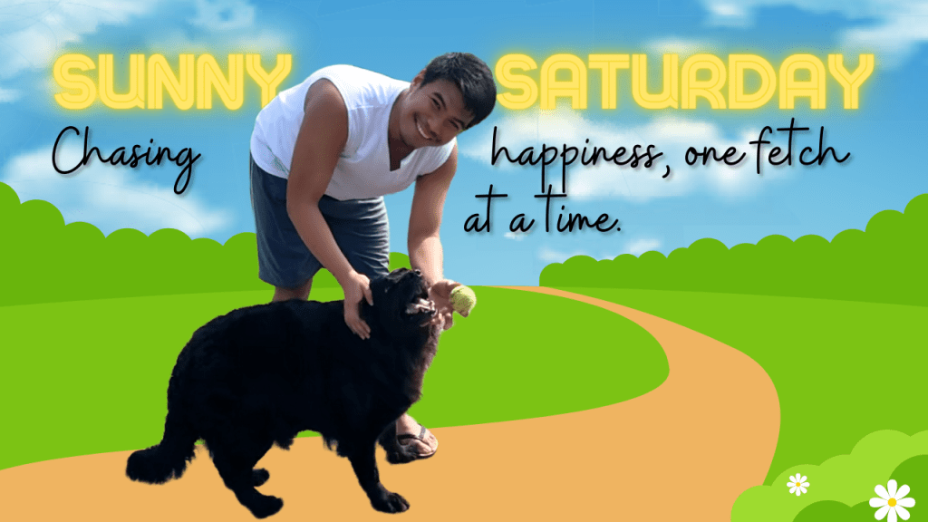 A Sunny Saturday Morning With Our Adorable, Chubby&nbsp;Labrador